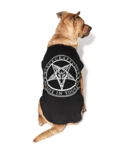 Blackcraft Cult Believe In Yourself - Pet Tee