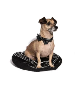 CMT Pet Batwing - Dog Collar