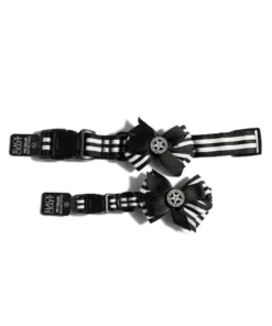 CMT Believe In Yourself - Dog Collar