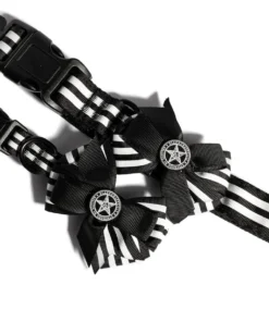 CMT Believe In Yourself - Dog Collar